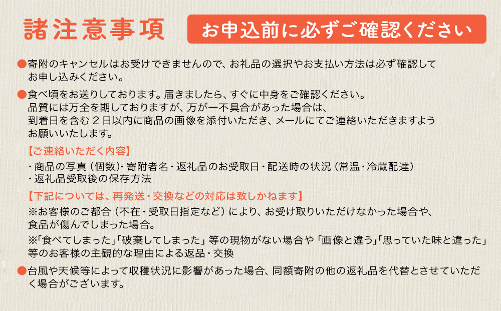 今帰仁マンゴー準A級１kg【先行予約】【2025年6月中旬～7月頃発送】生産者直送