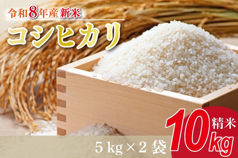 
                  【数量限定】【9月下旬より順次発送】R8年産 コシヒカリ 10kg(5kg×2袋)｜米 お米 白米 精米 R8年産 令和7年産 こしひかり コシヒカリ 茨城県 茨城県産 行方市(HA-14)
                