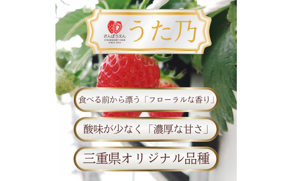 【先行予約！】2027年2月以降順次発送　食べ比べ「よつぼし」「うた乃」200ｇ×4パック