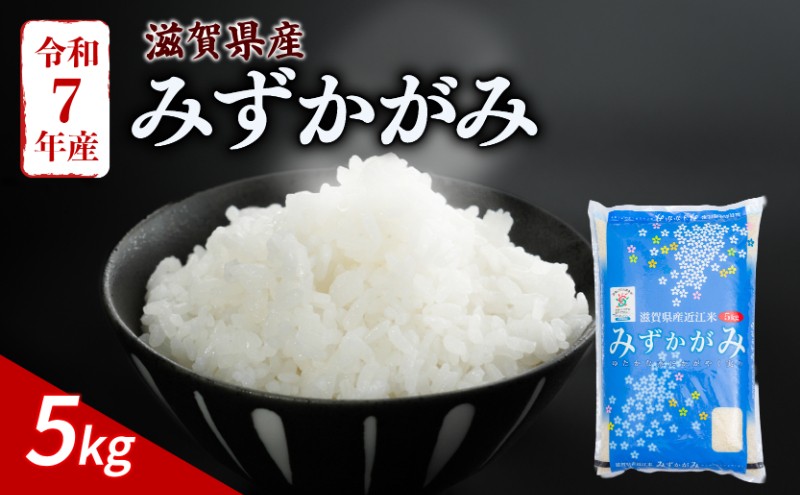 
                  みずかがみ 5kg 令和7年産 米 白米 精米 こめ コメ お米 ご飯 5キロ 令和7年 滋賀 彦根 【近江米】
                