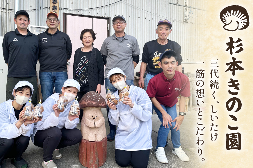 生しいたけ セット 約300g× 2袋 約150g× 2袋 計4袋 約900g [杉本きのこ園 宮崎県 美郷町 31bs0001] 菌床 椎茸 しいたけ シイタケ きのこ キノコ お鍋 天ぷら 炒め物