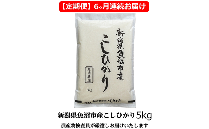 農産物検査員お奨め 魚沼産こしひかり （精米） 5kg 6ヶ月 連続お届け （ 米 定期便 コシヒカリ 魚沼産 精米 白米 お米 こめ コメ こしひかり 魚沼 半年 6回 お楽しみ ）