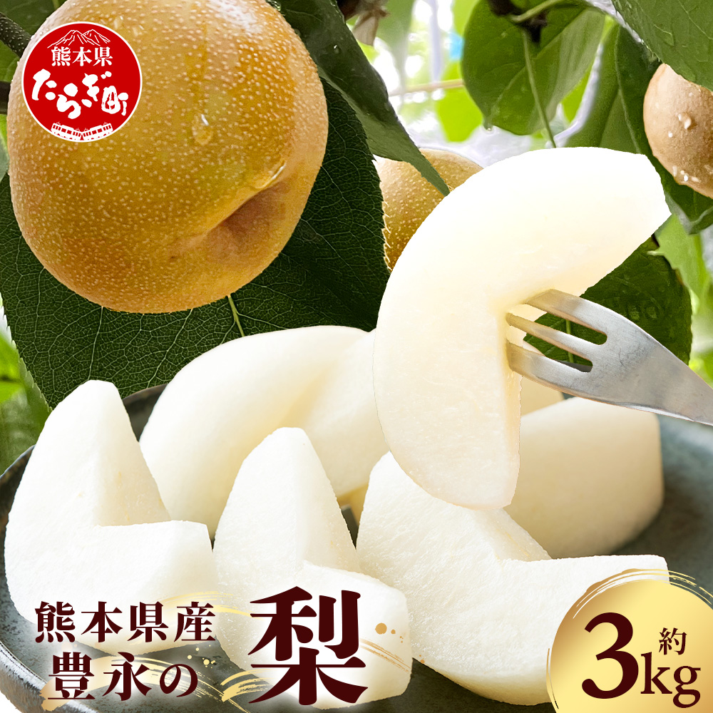 【2025年7月下旬発送開始】 熊本県産 梨 約3kg 幸水 新高 新興 豊水 秋月 秋麗 果物 熊本県産 フルーツ 梨 梨 070-0593