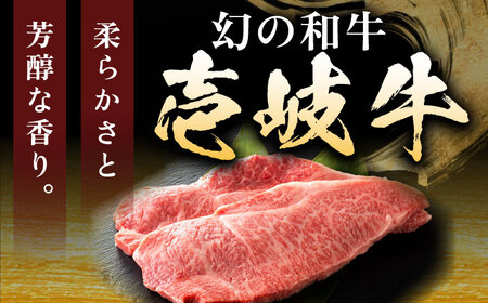 壱岐牛サ－ロインステーキ＆壱岐牛カレープレミアムセット《壱岐市》【壱岐フードファクトリー】[JDW051]