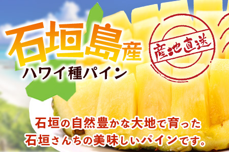 【先行予約】石垣島産 ハワイ種 パイン (4玉 約4㎏) 《6月上旬頃より順次発送》【 産地直送 沖縄 石垣 パイナップル フルーツ 】TP-5