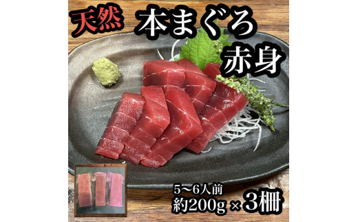 
貴重な天然本鮪 赤身 約200g×3柵 約5〜６人前●マグロの中心部天身を使用！【赤身 天身 惣菜 海鮮 お取り寄せ 御中元 お中元 お歳暮 父の日 母の日 贈り物 日本酒 焼酎】【神奈川県小田原市早川】
