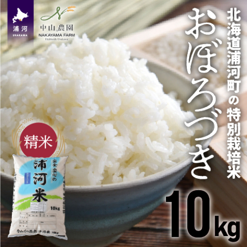 【先行受付開始！】北海道浦河町の特別栽培米「おぼろづき」精米(10kg×1袋)[37-1133]