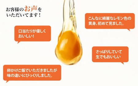 【月1回20個×12回定期便】平飼い「しあわせたまご」計240個＜松本養鶏場＞ [CCD031]