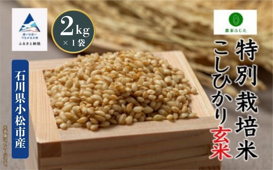 
                  コシヒカリ 玄米 2kg 特別栽培米 令和7年産 こしひかり 玄米 コメ お米 石川県産玄米 小松市産玄米 【農家ふじた】
                