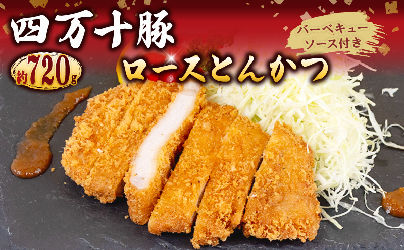 豚肉 とんかつ 720g 6人前 ブランド豚 四万十ポークカツ 豚カツ バーベキューソース付き 高知県 須崎市
