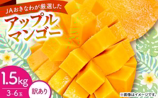 ＜2026年6月から順次発送・訳あり＞アップルマンゴー1.5kg(3～6玉)【1681760】