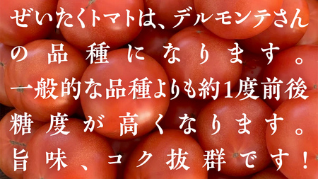 ぜいたくトマト！ 約2kg × 2 合計 約4kg ( 18～24個 ) トマト 大玉トマト 新鮮 美味しい 野菜