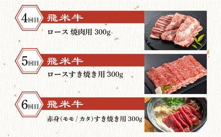 飛騨牛×飛米牛 全6回のブランド牛定期便 焼肉 すき焼き しゃぶしゃぶ 国産 ブランド牛 食べ比べ セット 牛肉 肉 和牛 すきやき お楽しみ 6回 毎月 冷凍でお届け 飛騨市 [Q2856]
