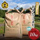 【ふるさと納税】 米 令和6年産 秋田県産 あきたこまち 精米 10kg ( 5kg × 2袋 ) お米 ご飯 ごはん 精米 新米 県産 国産 お中元 お歳暮 お取り寄せ グルメ ギフト 故郷 秋田 あきた 鹿角市 鹿角 送料無料 【アグリTakko】