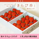 【ふるさと納税】いちご イチゴ 苺 【1月上旬～発送 】 プレミア 掛川産 きらぴ香 約450g×2パック （1パック：9粒～15粒） 加藤農園 ※1月上旬より順次発送（ 人気 くだもの フルーツ ストロベリー 掛川市 静岡 ）