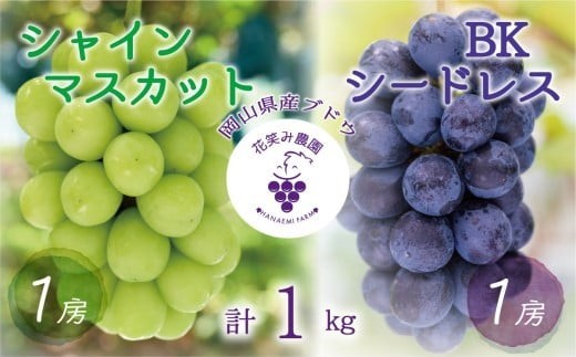 ぶどう【2026年先行予約】＜除草剤不使用＞ぶどう 食べ比べ 2種セット 1kg 2房 シャインマスカット BKシードレス ぶどう 葡萄 マスカット しゃいんますかっと 果物 くだもの フルーツ 産地