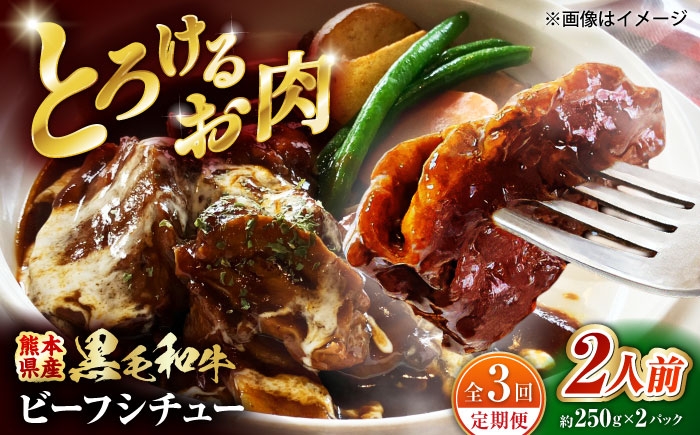 
                  【全3回定期便】 熊本県産 くまもと黒毛和牛 こだわりのビーフシチュー 計2パック （約250g×2パック） ビーフシチュー ビーフ シチュー 牛肉 肉 【有限会社スイートサプライなかぞの】 [ZBV108]
                