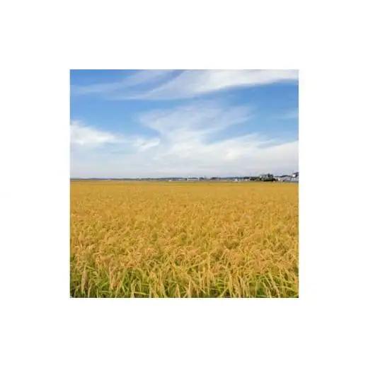 《 令和7年産 》米 コシヒカリ 10kg （ 5kg×2 ） ／ 米 こめ コメ お米 おこめ コシヒカリ こしひかり 令和7年 白米 精米 ごはん 10kg 送料無料