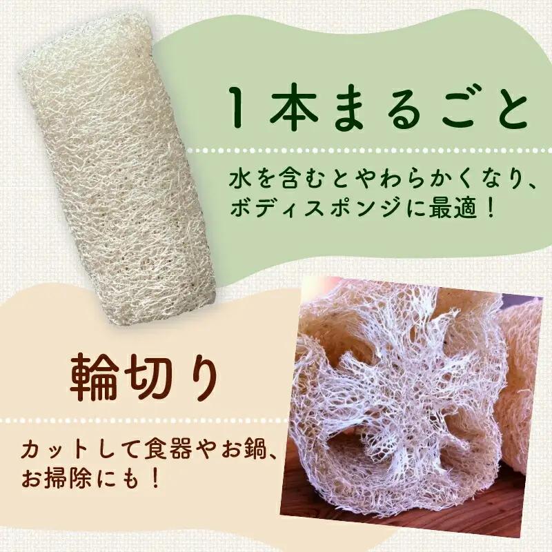 ヘチマたわし (Sサイズ) 未漂白 たわし ボディスポンジ 有機JAS認定農園