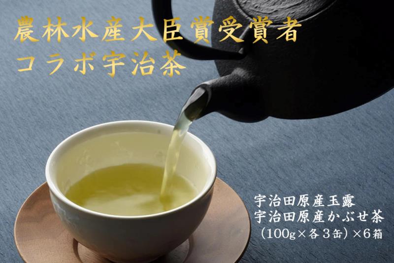 【数量限定】農林水産大臣賞受賞者　下岡清富×谷勝谷健士×谷口悟司　コラボ宇治茶〈限定 お茶 茶 煎茶 緑茶 茶葉 玉露 かぶせ茶 コラボ 詰合せ 最高茶師 大臣賞 飲料 加工食品〉 