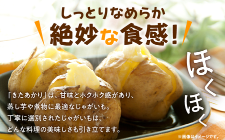 【令和8年産先行受付】北海道産 じゃがいも 「きたあかり」 S～LLサイズ10kg《9月より発送》