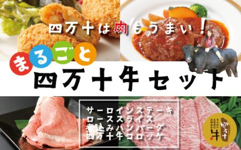 幻のメス牛 まるごと四万十牛セット（サーロインステーキ・ローススライス・煮込みハンバーグ・四万十牛コロッケ）R5-021