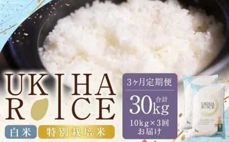 【3ヶ月定期便】 みずほファーム UKIHA RICE 白米 5kg✕2袋✕3回 （特別栽培米） 計30kg ヒノヒカリ ひのひかり 精米 米 こめ コメ お米 おこめ 白米 精米 ごはん ご飯 お中元 お歳暮 ギフト プレゼント 贈答品 定期便 おすすめ 国産