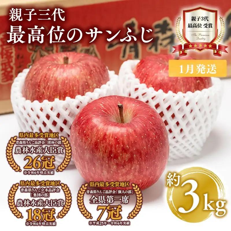 りんご 贈答用 サンふじ 約3kg 青森県平川市産 りんご
