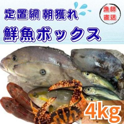 ふるさと納税 奈半利町 定置網朝どれ鮮魚ボックス4kg　133002