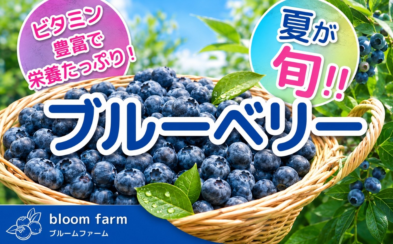 
                  ブルーベリー 訳あり 500g×2パック | 大粒 品種ミックス くだもの 果物 フルーツ ヨーグルト ジャム 国産 愛知県産 ※北海道・沖縄・離島への配送不可
                