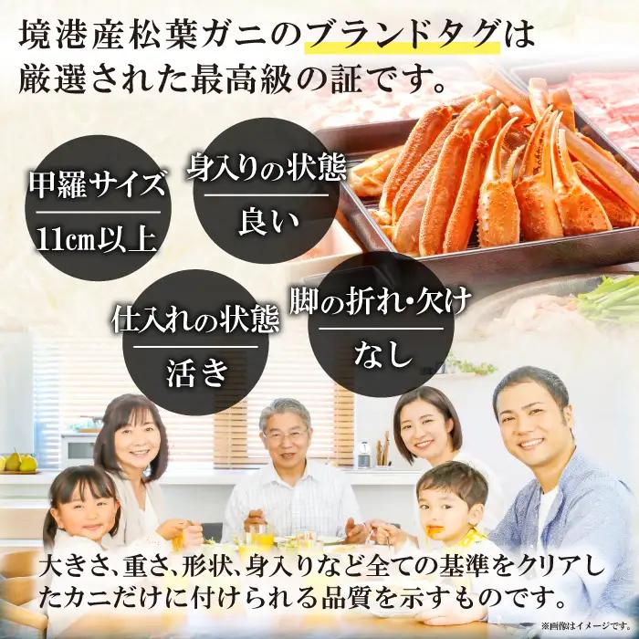 【活き】タグ付き松葉ガニ　中　2枚【松葉ガニ 松葉がに 松葉蟹 まつばがに かに カニ 冷蔵 チルド ブランド ズワイガニ 活き お祝い 冬 国産 季節限定 お取り寄せ 鳥取県 日吉津村 日本海】