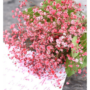 チェリーかすみの花束  【 カスミソウ ブーケ 花 花束 花ギフト 】