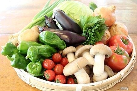 【京丹波の新鮮野菜】和知地区で栽培された旬の地場野菜おまかせ詰合せ  [010NA001]