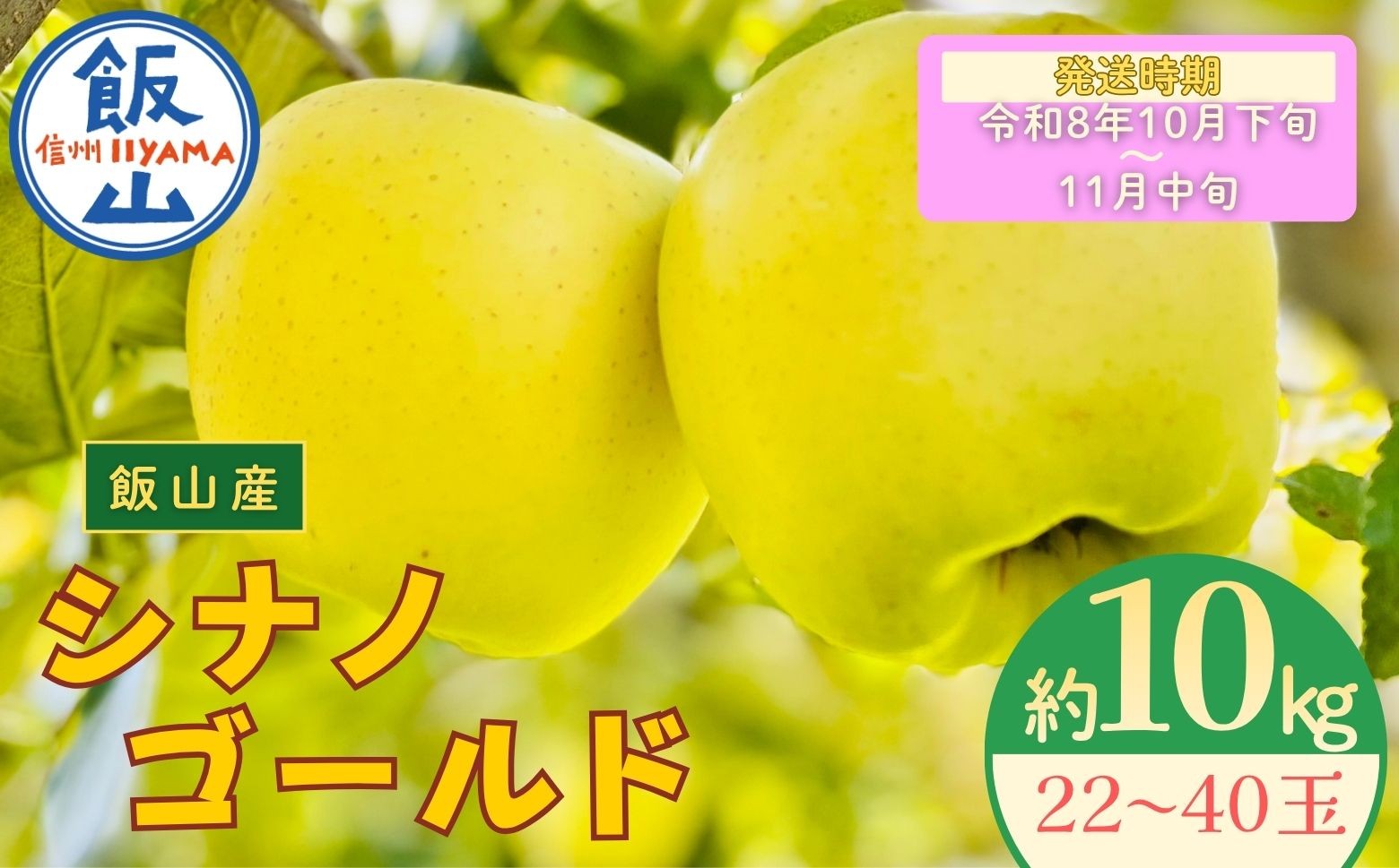 
            【先行予約丨2026年10月下旬より順次発送】シナノゴールド【約10kg (22〜40玉)】(At-016)丨長野県 飯山市 おすすめ ランキング おいしい 高評価 大人気 先取り 産地直送 りんご
          