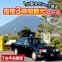 【ふるさと納税】小型タクシーで巡る 指宿3時間観光コース！＜1台4名様迄＞ 体験 チケット 指宿 鹿児島 観光 長崎鼻 フラワーパークかごしま 開聞岳 JR西大山駅 池田湖 旅行 旅 サービス トラベル【鹿児島第一交通(株)指宿営業所】