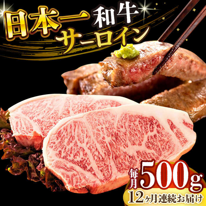 【ふるさと納税】【全12回定期便】【A4〜A5】長崎和牛サーロインステーキセット　500g（250g×2枚）【株式会社 MEAT PLUS】[DBS088]