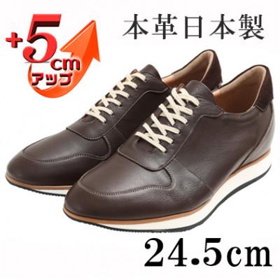 ふるさと納税 大和郡山市 スニーカー 本革紐タイプ 5cmアップシークレットシューズ No.801 ブラウン 24.5cm