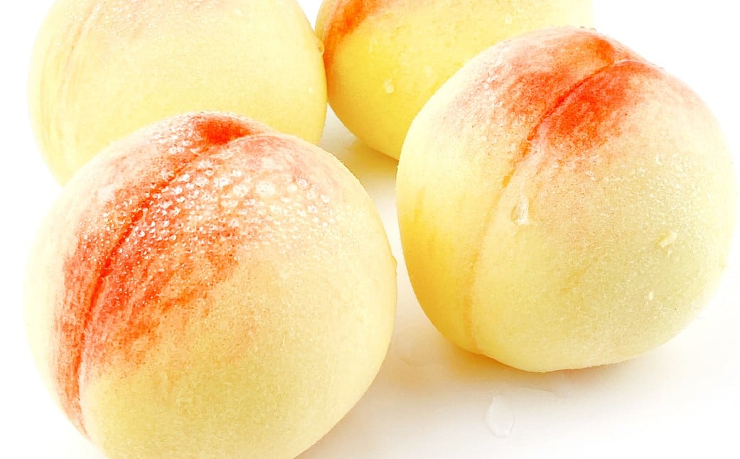 
            岡山匠の白桃 約3.4kg 11～12玉 犬塚農園 岡山県産 岡山白桃 ギフト【2026年6月下旬～7月下旬発送予定】【岡山県産 一宮産 みずみずしい 季節の味 旬をお届け フレッシュ 晴れの国 おかやま 果物大国 もぎたて便 犬塚農園からお届け 当日出荷 岡山県 倉敷市 おすすめ 人気】
          