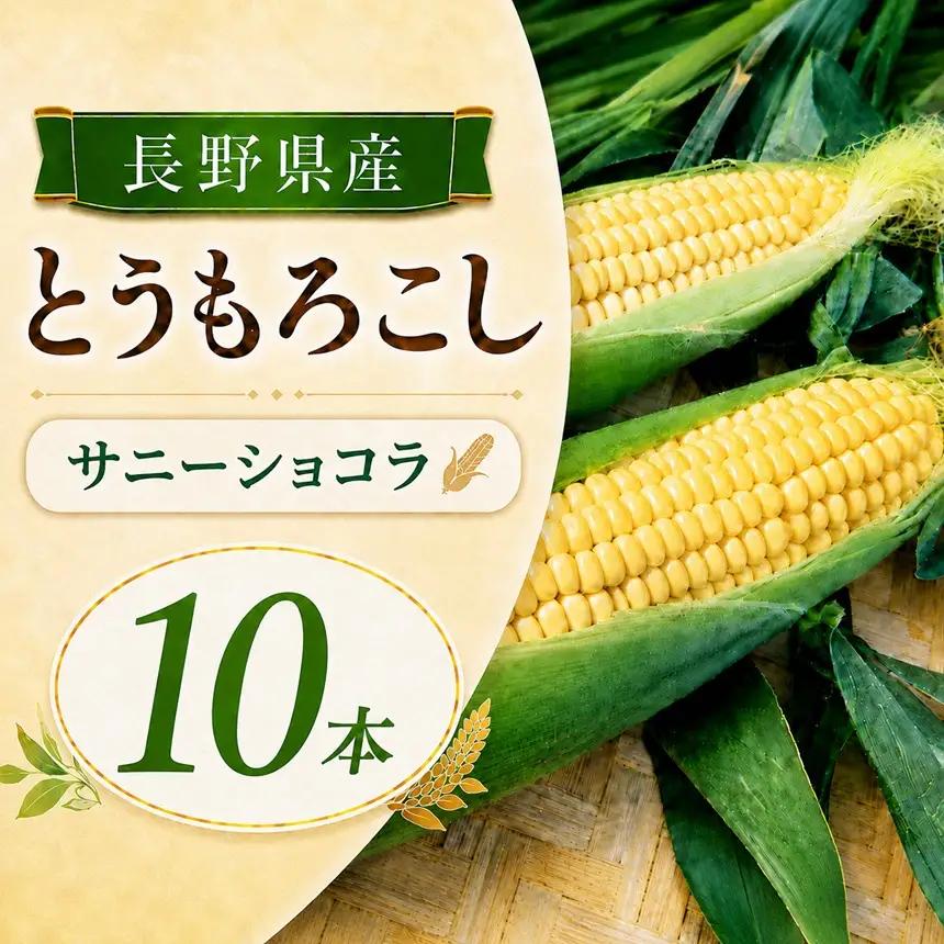 とうもろこし サニーショコラ 10本 | 寺畑農園