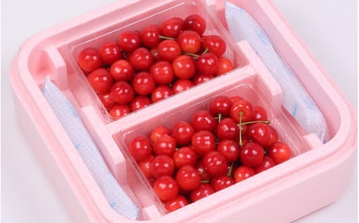 08-03-033　さくらんぼ(特秀：佐藤錦)1kg