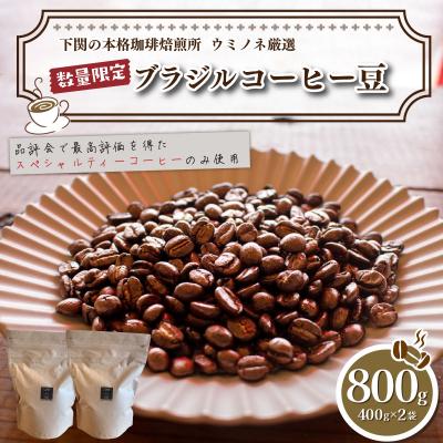 ふるさと納税 下関市 【細挽き】 訳あり コーヒー豆 800g(400g×2袋) ブラジル EW144-D-x