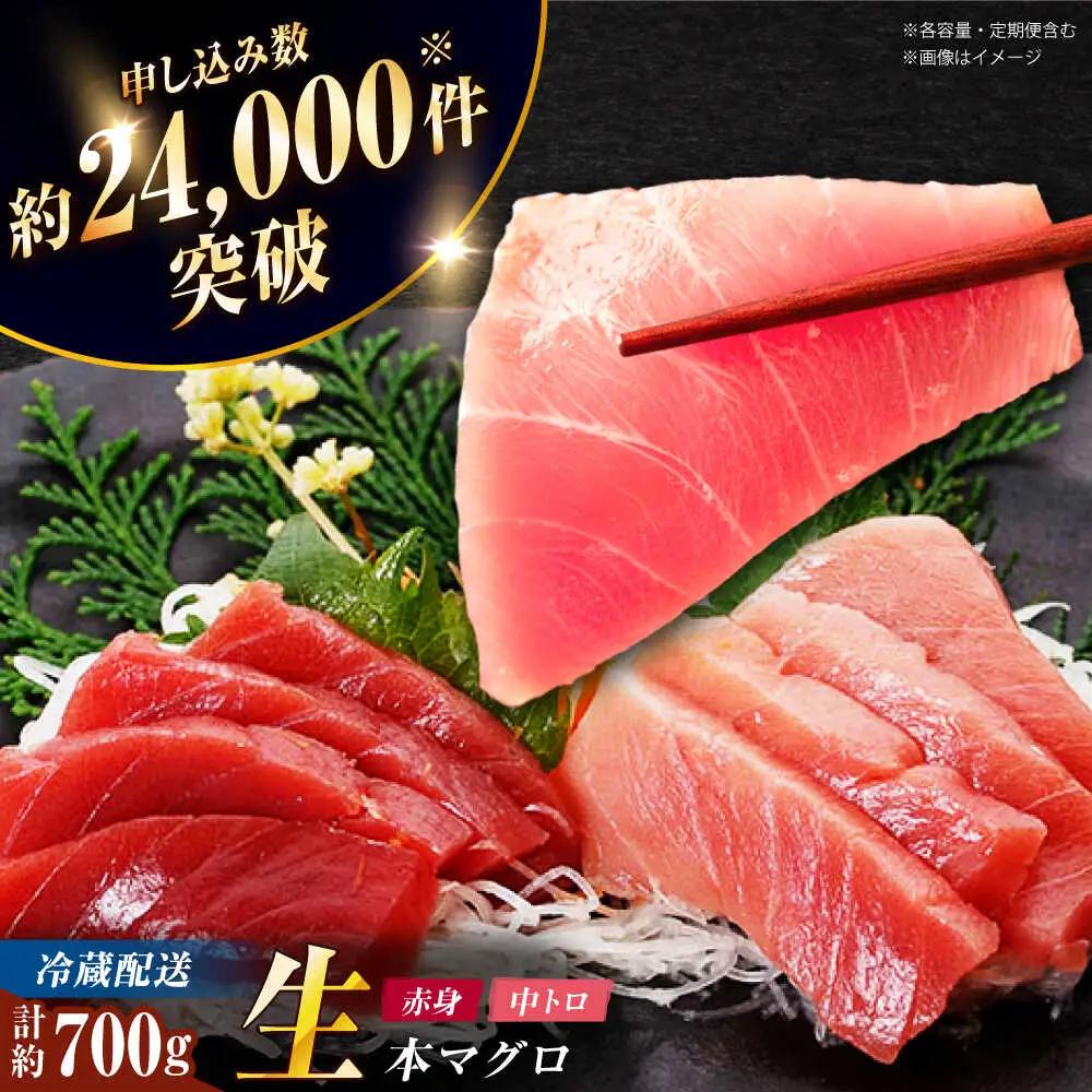 五島列島産養殖生本かみまぐろ 赤身 中トロ 刺身 計約700g[RBP052] 本マグロ 本まぐろ 本マグロ 本まぐろ 本マグロ 本まぐろ 本マグロ 本まぐろ 本マグロ 本まぐろ九州 長崎