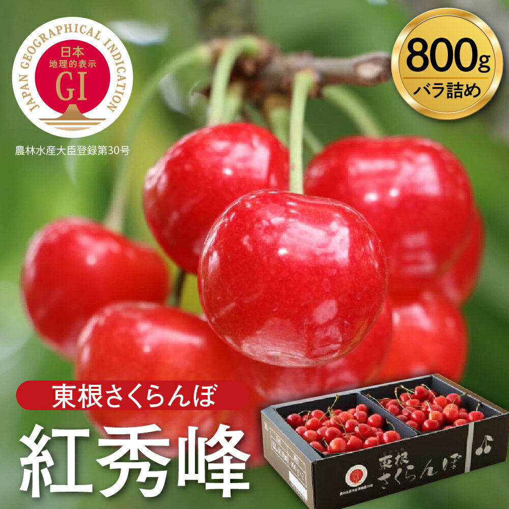 【ふるさと納税】 【2025年産 先行予約】「 GI東根 さくらんぼ 」 紅秀峰 800g バラ詰め / フルーツ 果物 くだもの サクランボ Lサイズ 箱入り 化粧箱 期間限定 冷蔵配送 先行予約 お取り寄せ グルメ ご当地 特産 産地直送 山形県 東根市