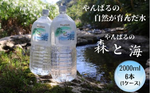 
やんばるの水 「 森と海」　2000ml ６ 本
