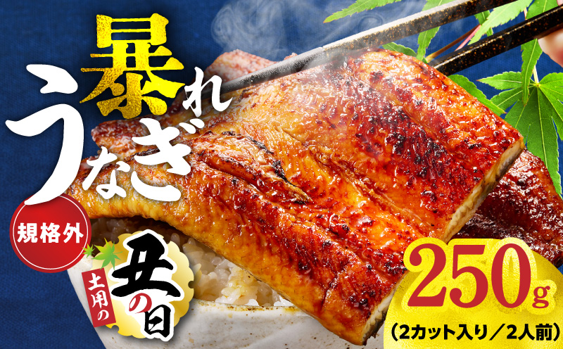 【土用の丑の日までにお届け】うなぎ 暴れ盛り 250g（2カット）【規格外 お試し 鰻 かば焼き 簡単調理 訳あり サイズ不揃い 人気 惣菜 うな重 うな丼 ひつまぶし 大阪 泉佐野 大阪府 泉佐野市】