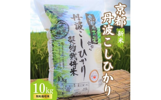 [№5334-0318]令和7年産 京都丹波産 こしひかり 10kg 契約栽培米  白米 精米 お米 こめ コメ コシヒカリ 令和7年 ご飯 ごはん 京都 京都府 南丹市 新米