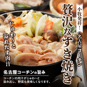 名古屋コーチンすき焼きセット 日本三大地鶏 ひきずり 鍋料理 郷土料理 [003D04]
