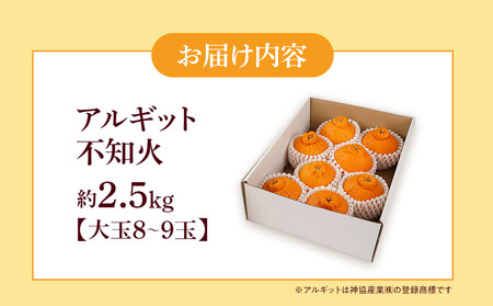 アルギット 不知火 約2.5kg 大玉 サイズ（8～9玉） 数量限定 先行予約 有田川町 山崎農園