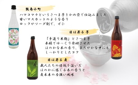 HS-001 蔵元セレクション・鹿児島の本格焼酎 720ml×12本セット 芋焼酎 麦焼酎 祁答院蒸溜所