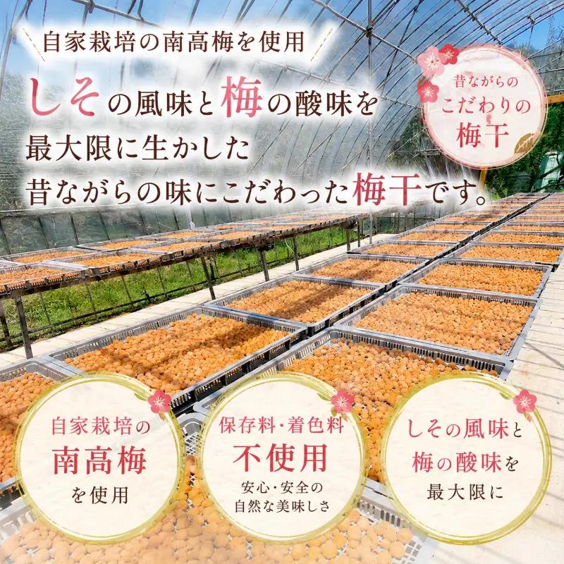 【 梅干し 】 小梅 1kg 南高梅